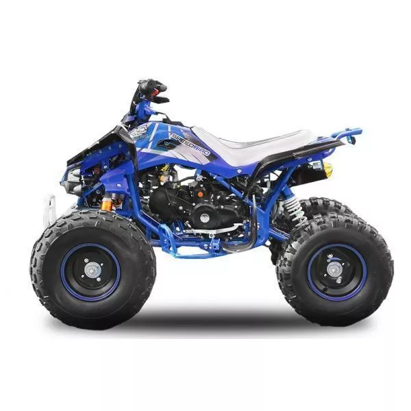 Quad ado et adulte essence SPEEDBIRD SPORT automatique RS8-A