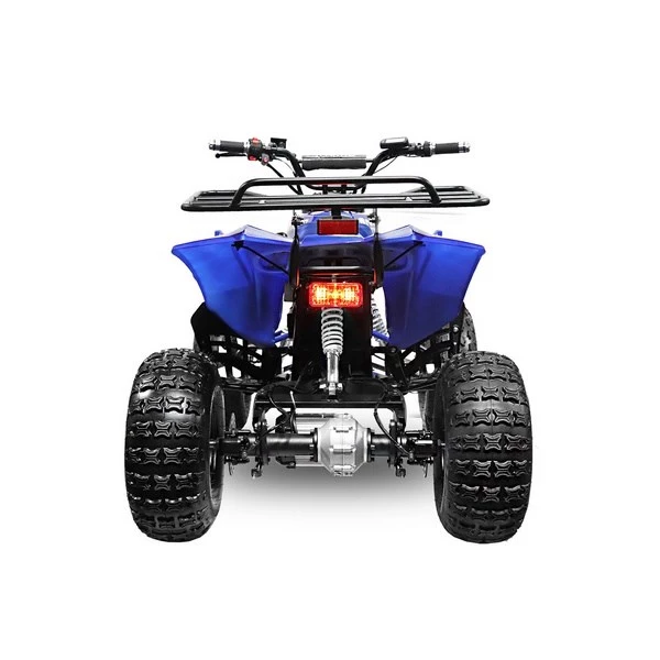 Quad ado et adulte électrique Warrior S8 1000W 48V XXL Quad Enfant Électrique