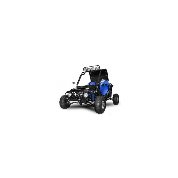 Buggy Enfants Buggy pour enfant et ado 125cc automatique