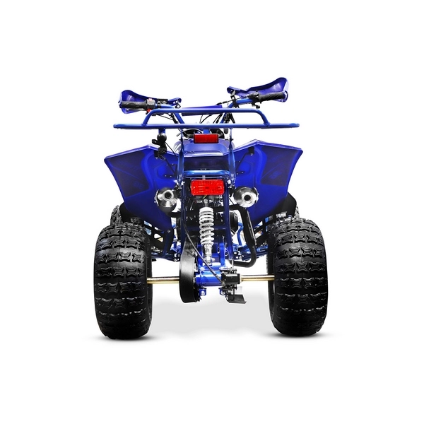 Quad ado et adulte électrique Quad électrique Warrior 1000W 36V