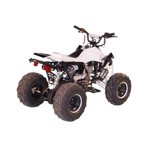 Quad ado et adulte électrique Warrior Sport 8 - Quadexpress