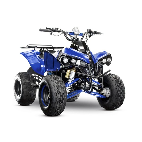 Quad ado et adulte électrique Quad électrique Warrior 1000W